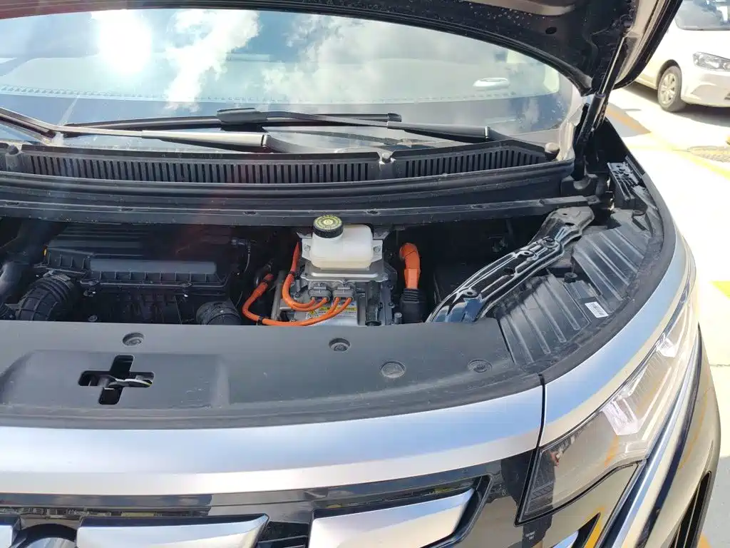 Denza D9 2026 2024 DM-i 980 AWD Premium