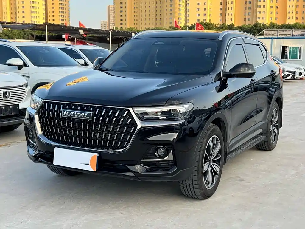  Haval Haval H6 2023 National Trend Edition 1.5T Automatic Champion