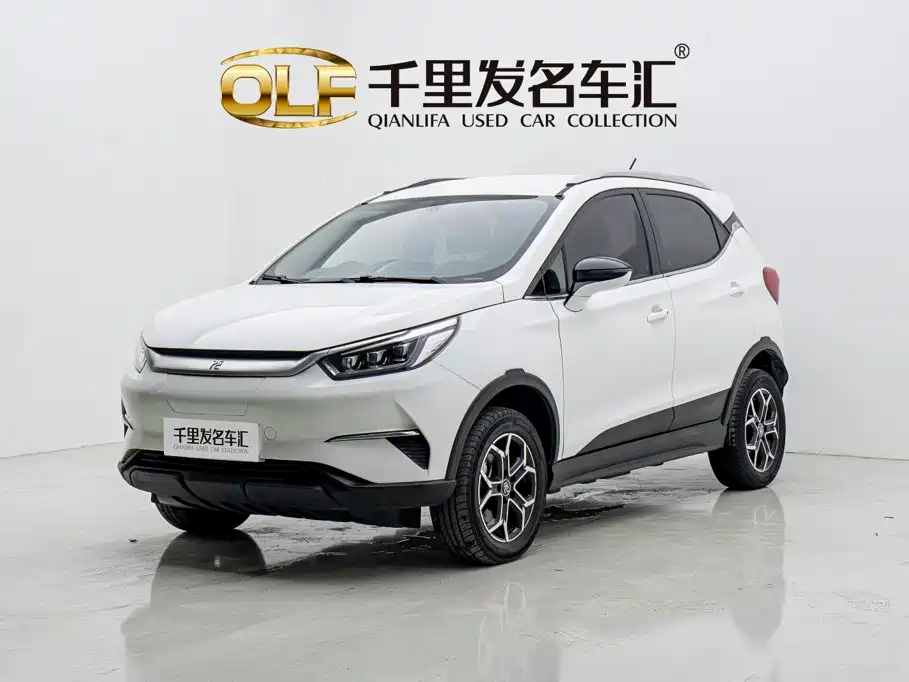 BYD Yuan Pro 2021 2021 401KM Luxury Model