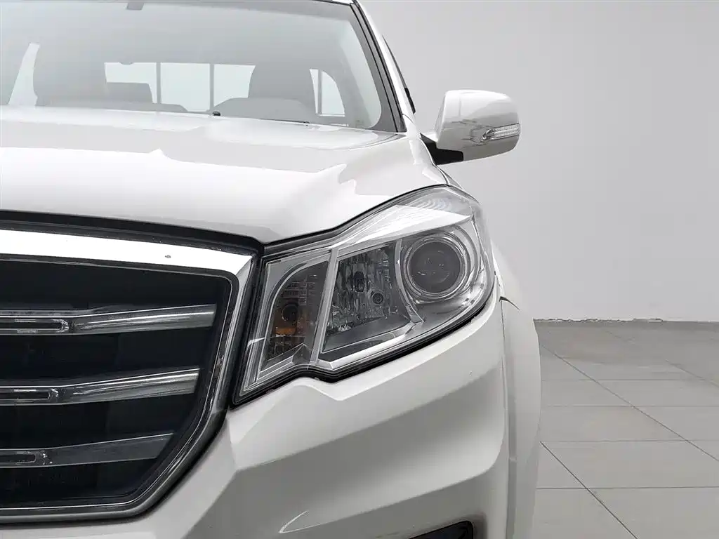 GREAT WALL FENGJUN 6