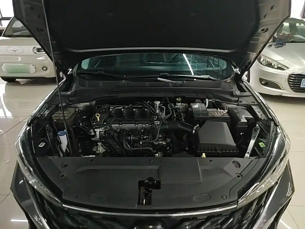 Photo 20 - Changan Eado