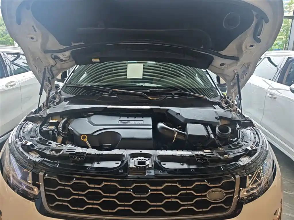 Land Rover Range Rover Evoque 2020 249PS R-DYNAMIC S Sport Edition фото 20