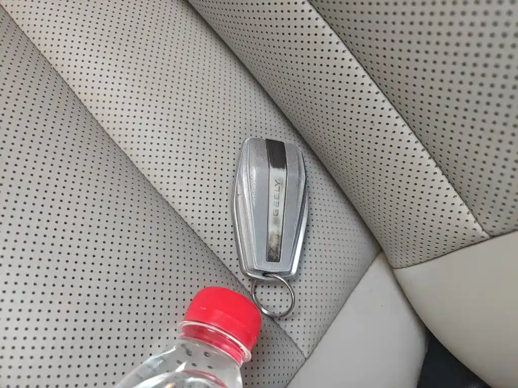 Geely Binrui 2018 2018 1.4T CVT Binzhi Edition