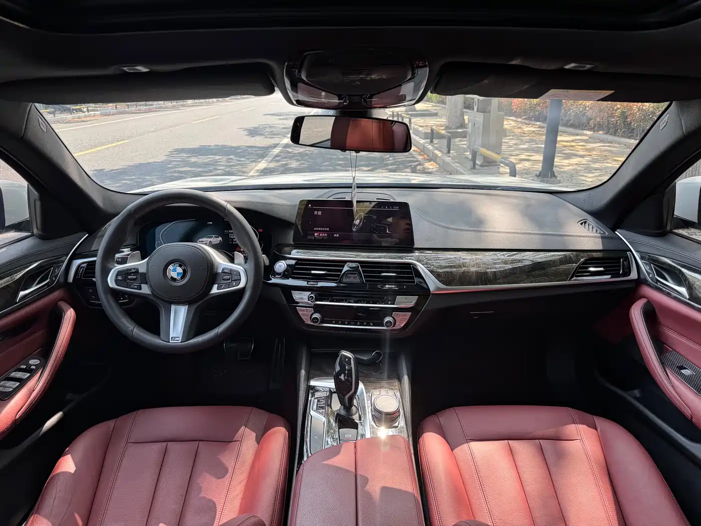 BMW 5 Series 2019 530Li Leading M Sport Package фото 8