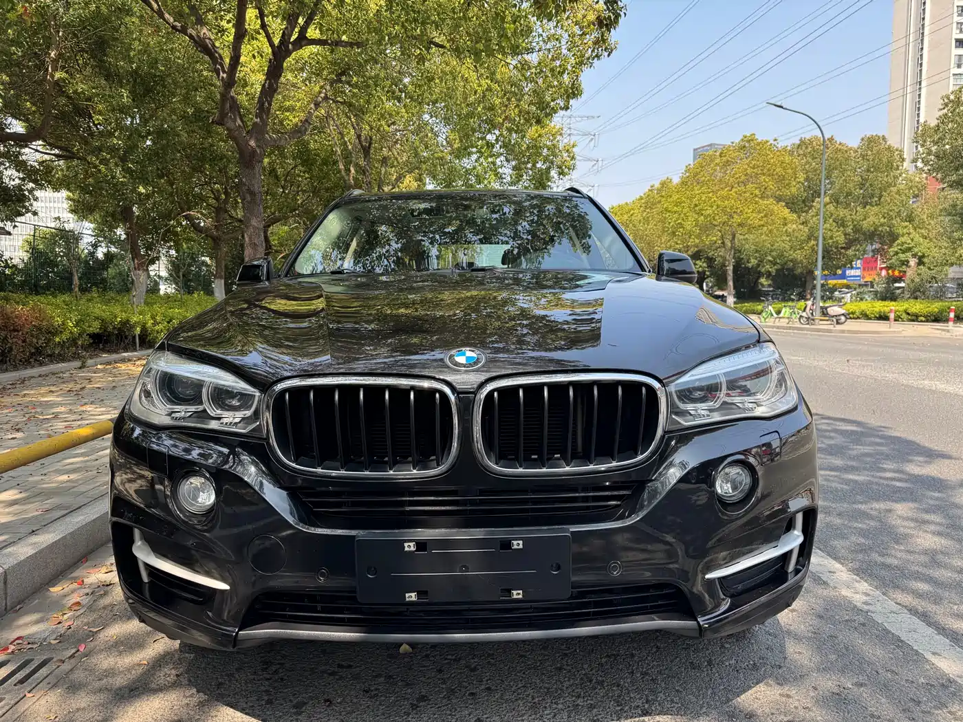 BMW X5 (Import) 2014 xDrive35i Leading фото 2