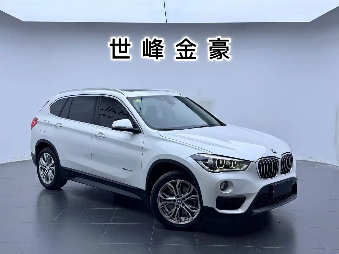 BMW X1
