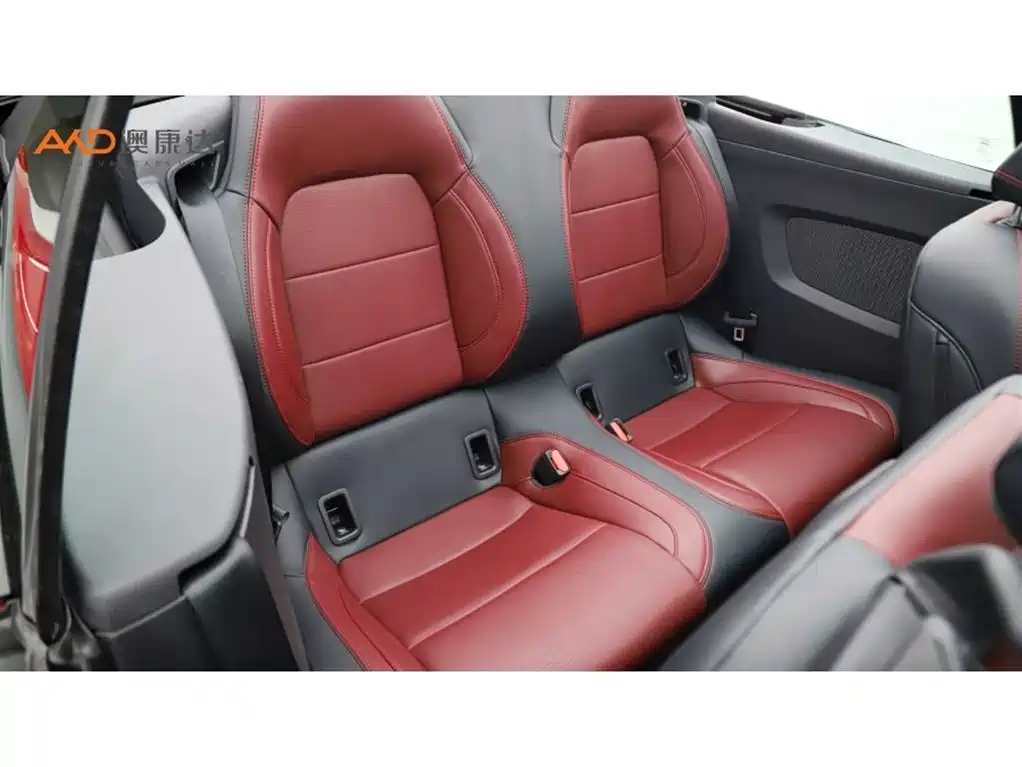 Ford Mustang 2024 2.3T EcoBoost Convertible Sport Edition фото 8