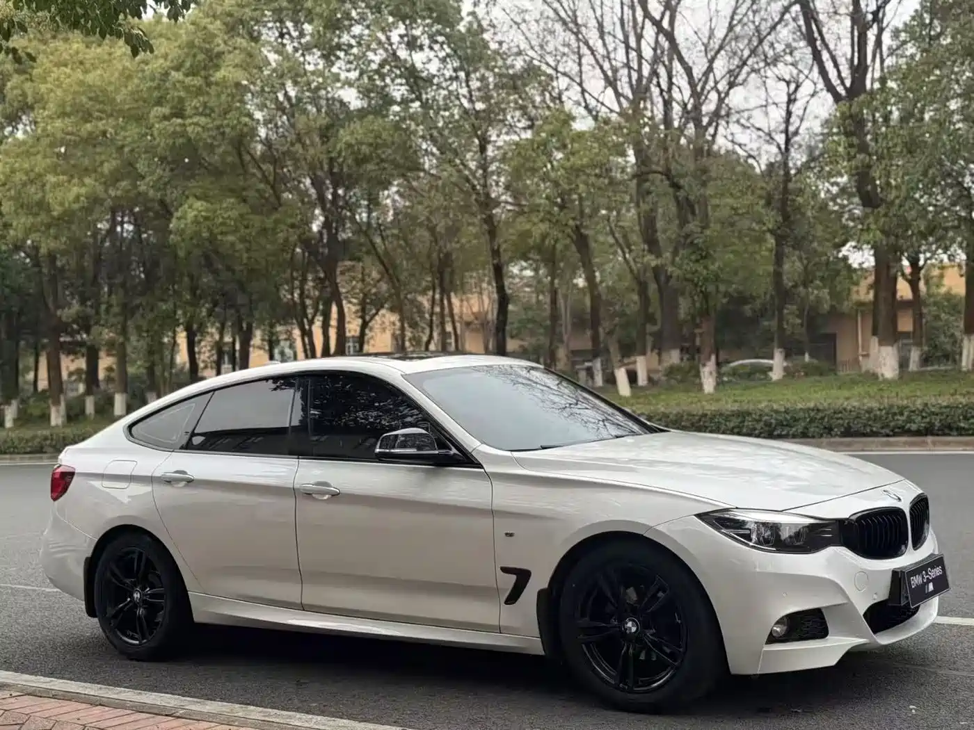 BMW 3 Series GT 2019 320i M Sport Black Night Edition фото 3