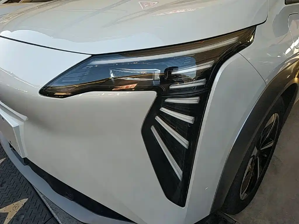 Aion Y 2025 2024 Plus 510 Smart Driving Edition