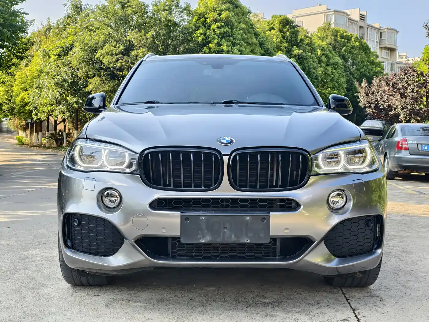 BMW X5 (Import) 2017 xDrive35i M Luxury Sport фото 2