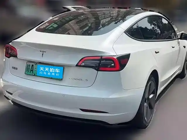 Tesla Model 3 2021 Standard Range Rear-Wheel Drive Upgrade — фото 2