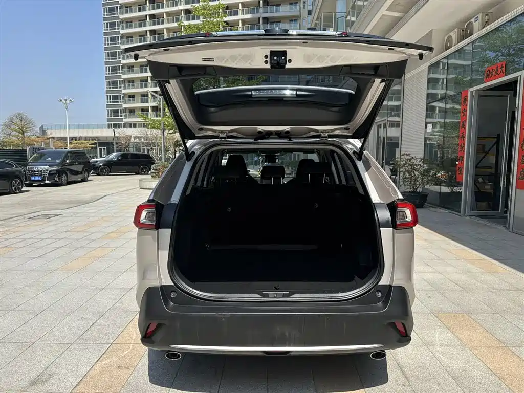 Toyota Wildlander 2020 2.0L CVT 2WD Luxury Edition фото 13