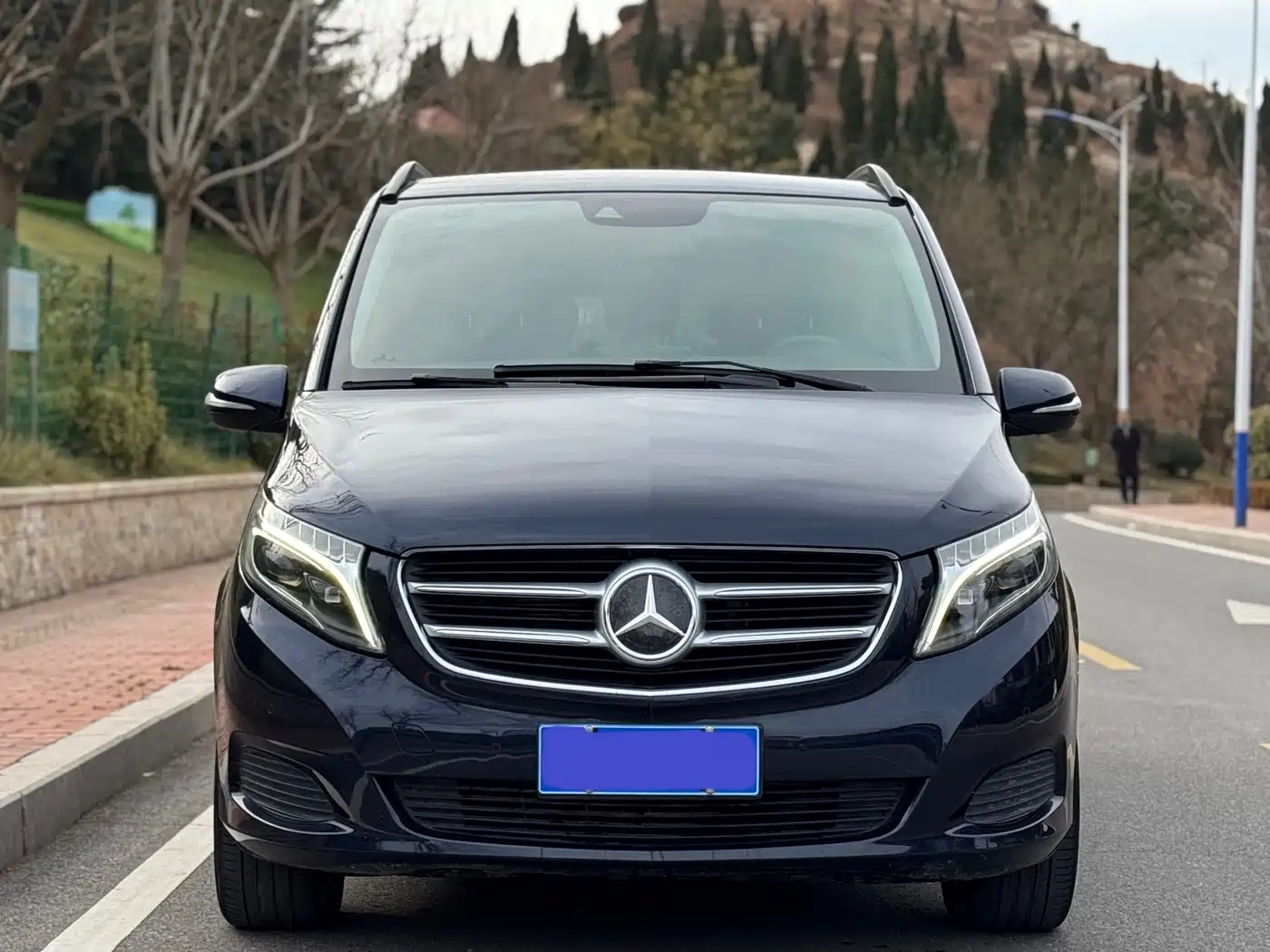 Mercedes-Benz V-Class 2017 Model V 260 Pilot Edition фото 2