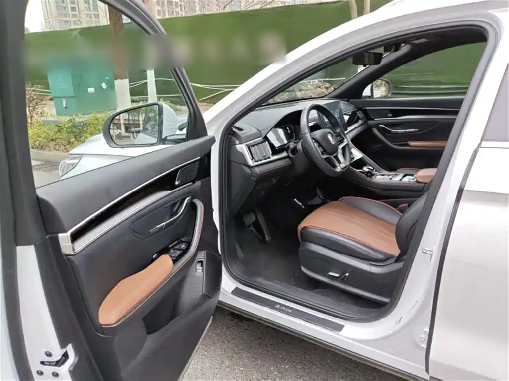 BYD Song PLUS 2020 1.5T Automatic Flagship фото 20