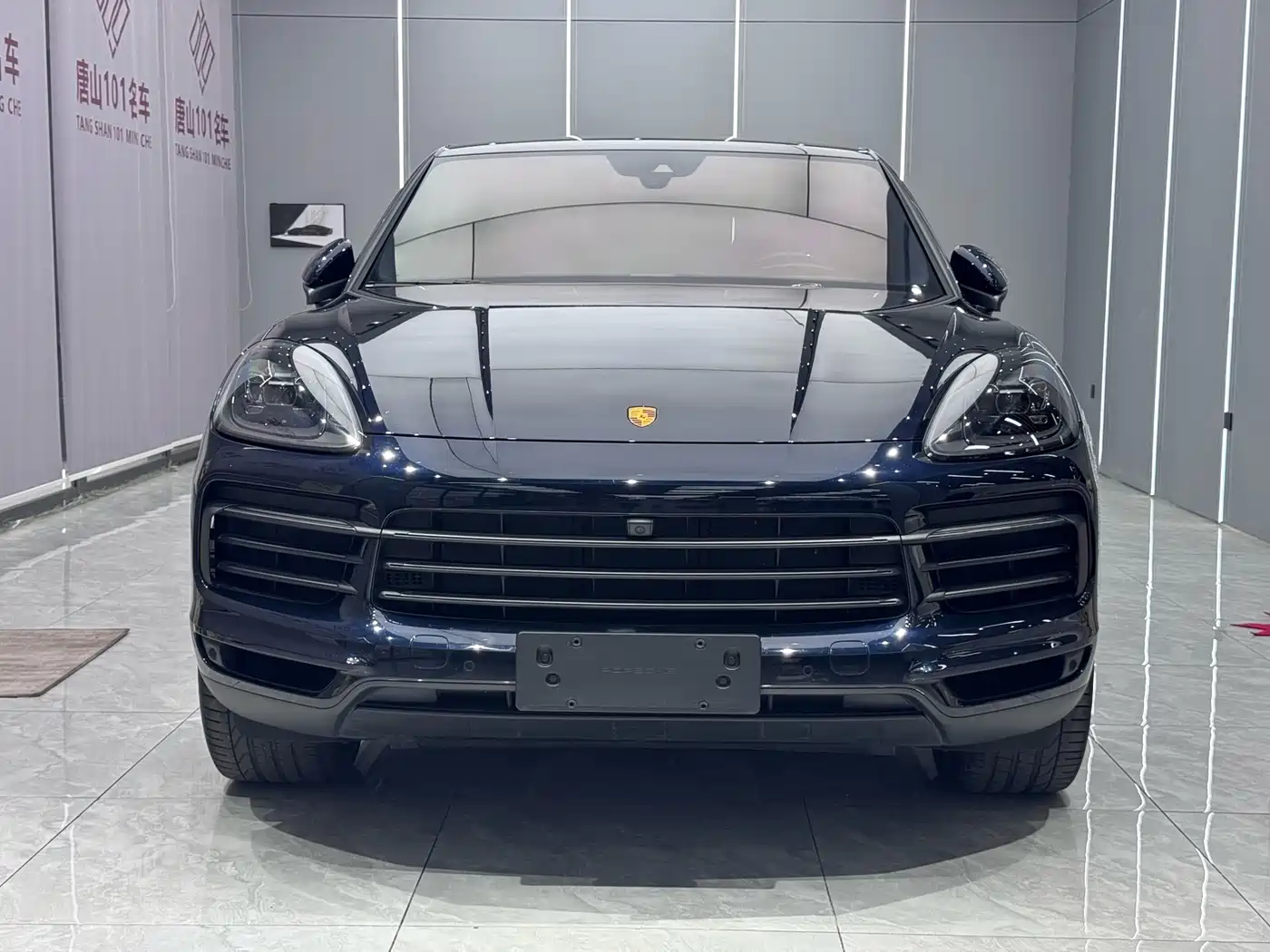 Porsche Cayenne 2023 Cayenne 3.0T Platinum Edition фото 3