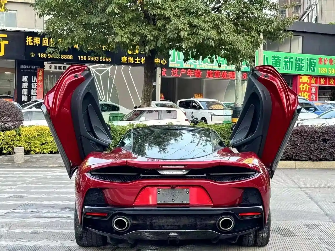 McLaren GT 2019 4.0T Standard фото 4