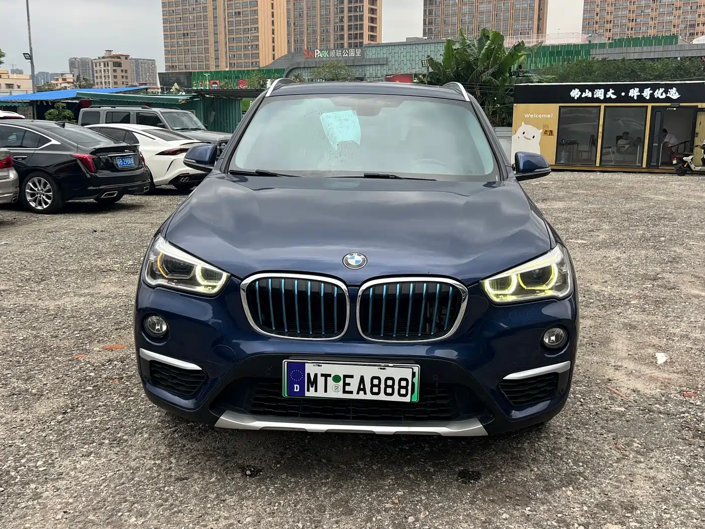 BMW X1 New Energy 2018 xDrive25Le Luxury Model