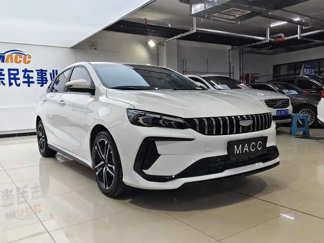 GEELY AUTOMOBILE BINRUI