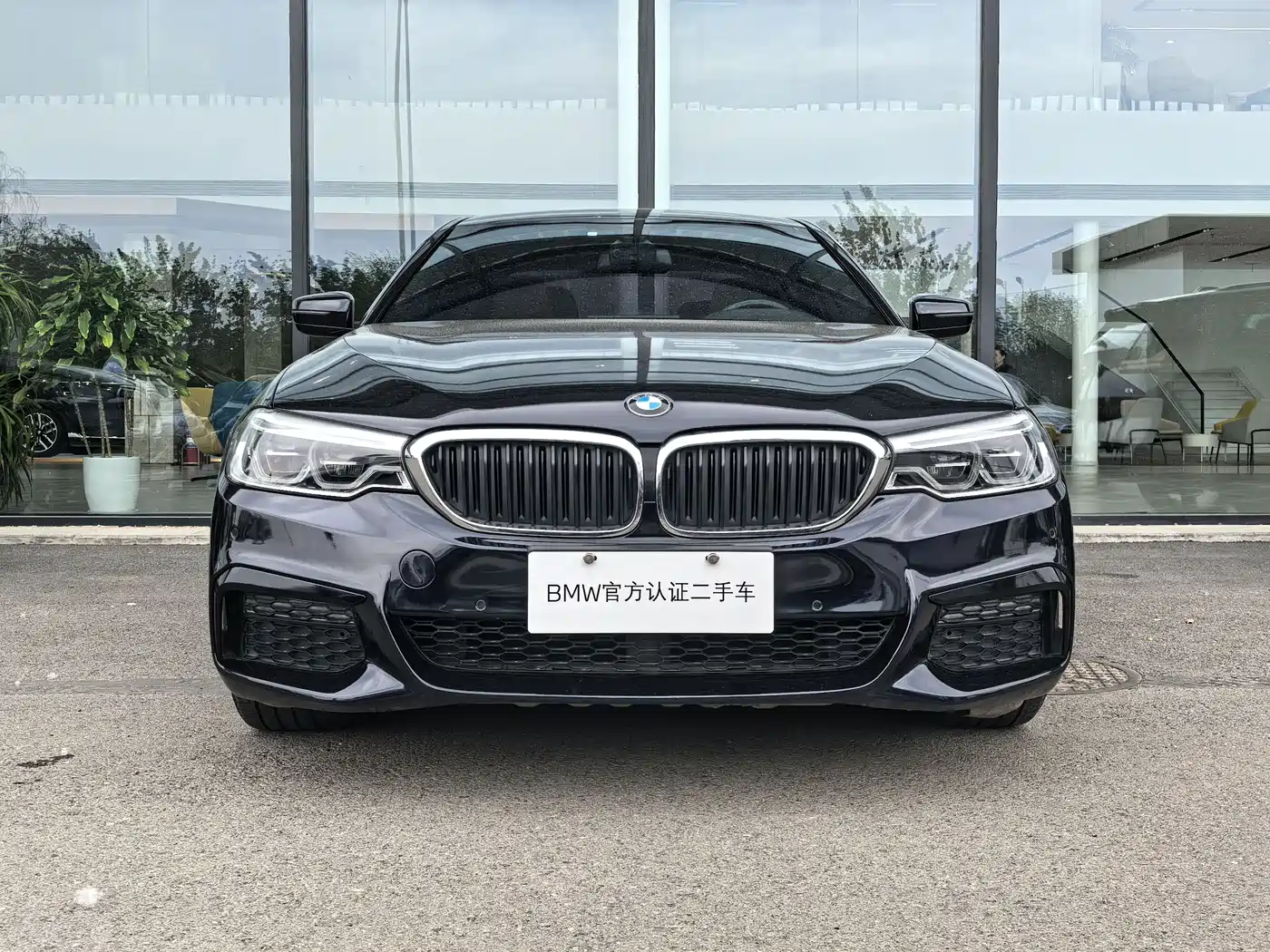 BMW 5 Series 2020 530Li Leading M Sport Package фото 2