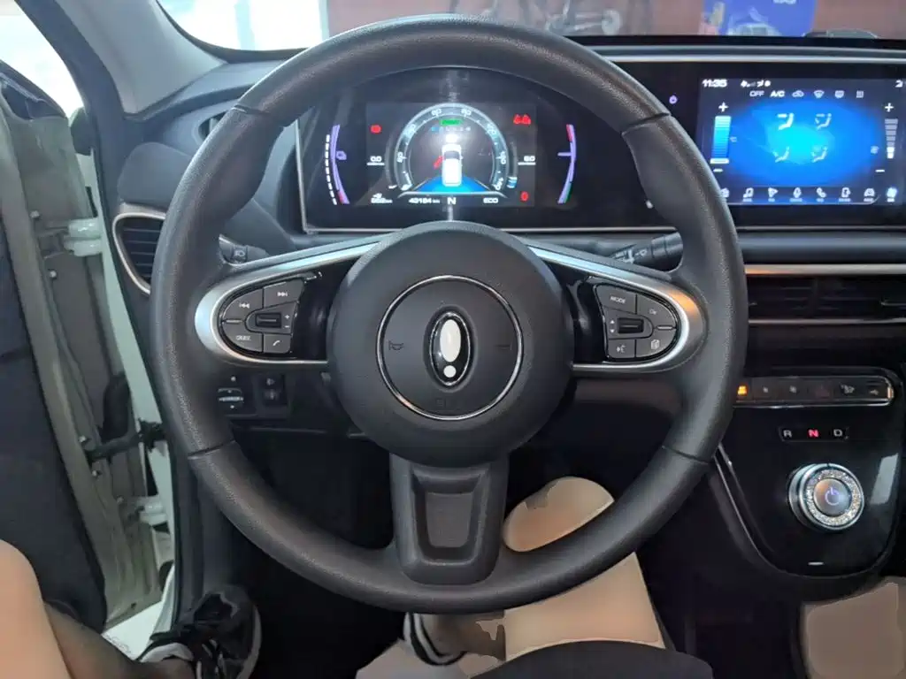 Ora White Cat 2021 2022 Upgraded 305km Luxury (NMC)