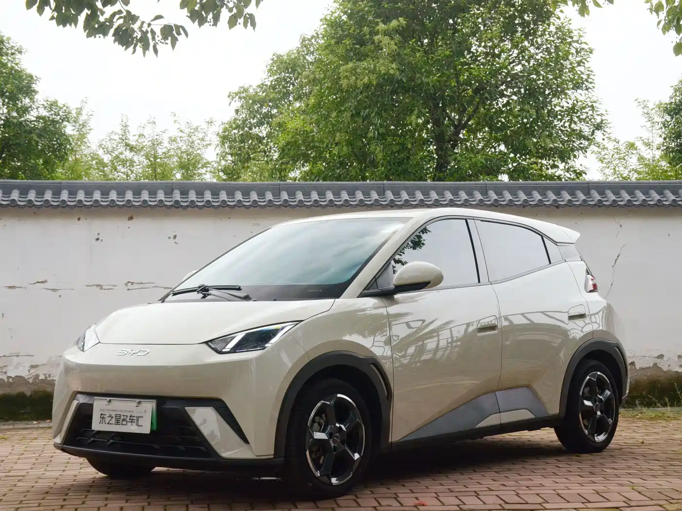 BYD Seagull 2024