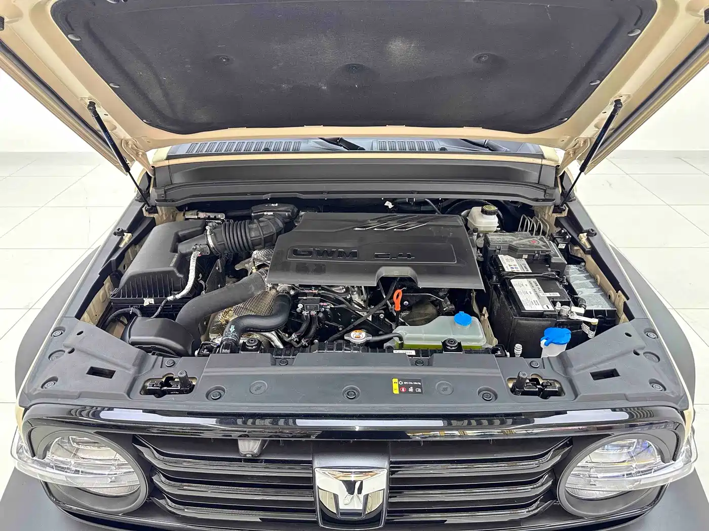 Tank 300 2025 2025 2.4T Diesel Version