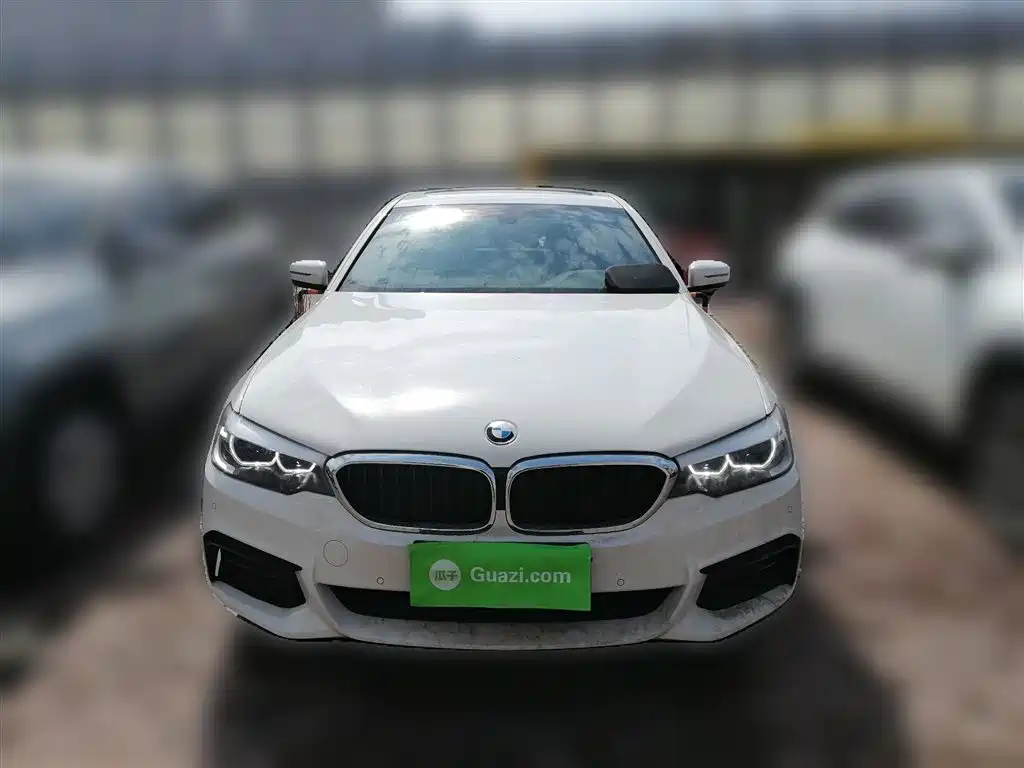 BMW 5 Series (Import) 2019 525i M Sport Package фото 24