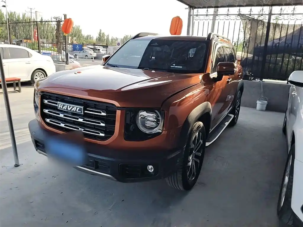 Haval Big Dog 2021 1.5T DCT 2WD Malinois - Wangcai Edition