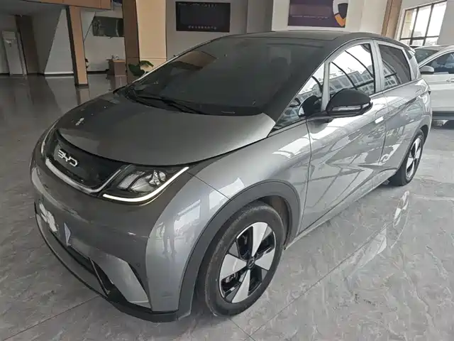 BYD Dolphin 420km, Стиль