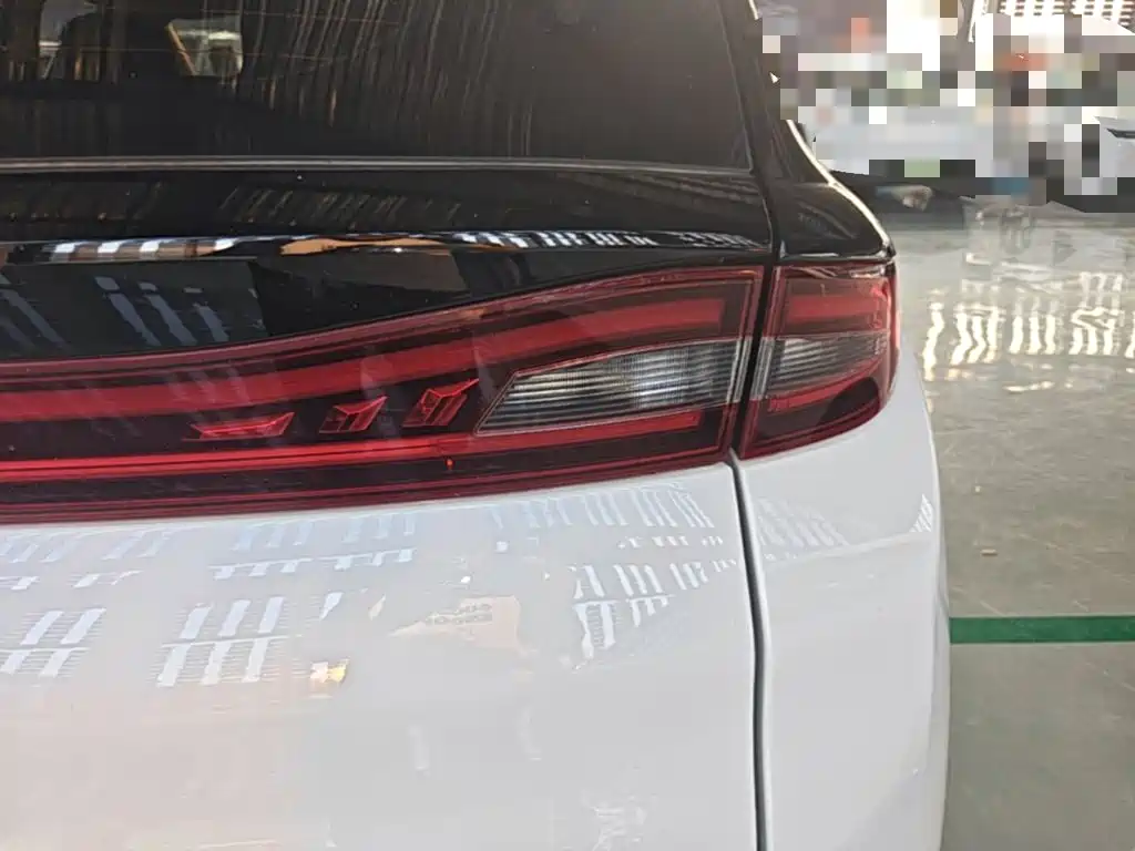 Dayun Yuehu 2022 2022 30.66kWh 2WD VIP Edition