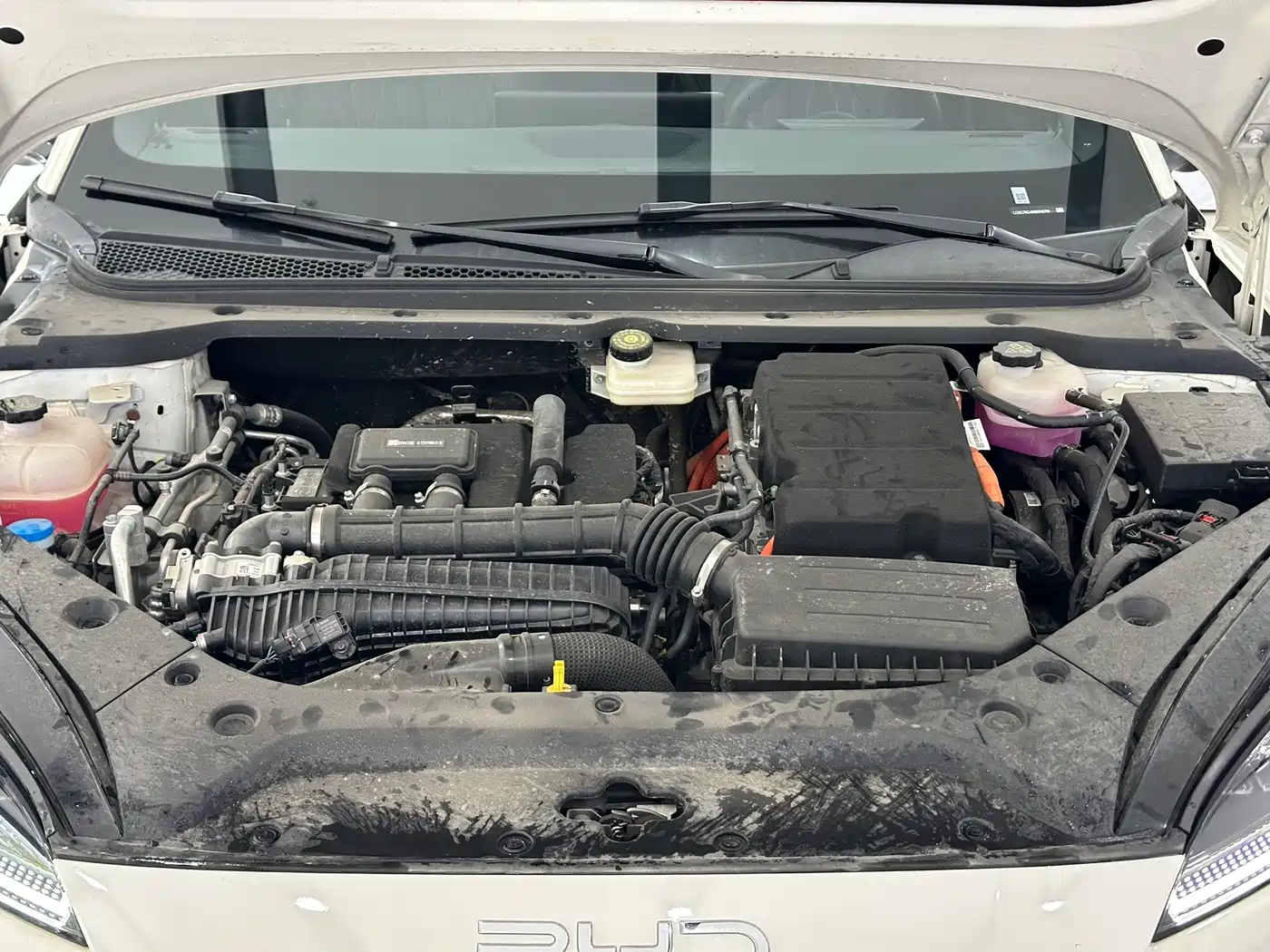 BYD SEAL 06 NEW ENERGY