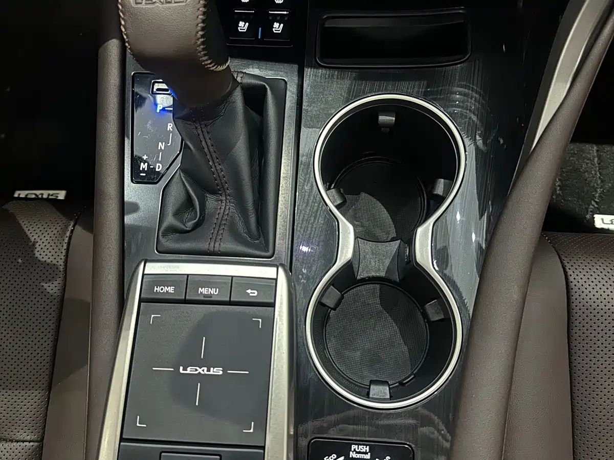 Lexus RX 2020 300 4WD Elegance Edition China VI фото 9