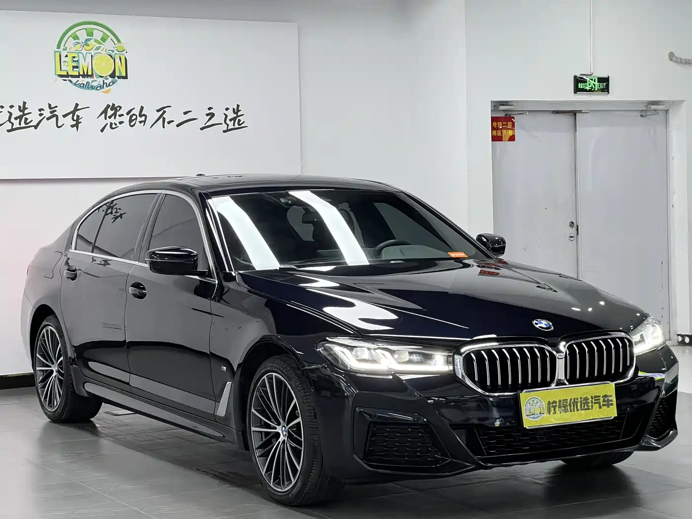 BMW 5 SERIES