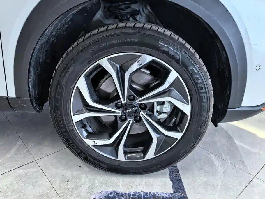 Haval Shenshou 2023 2022 1.5T Intelligent Premium Edition