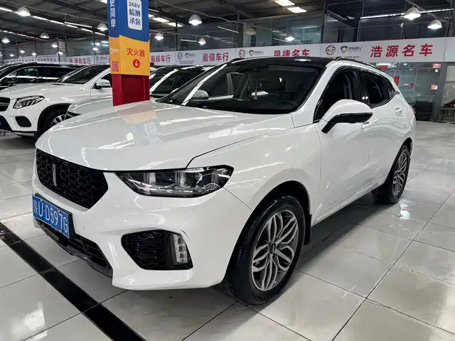 WEI PAI WEI BRAND VV5