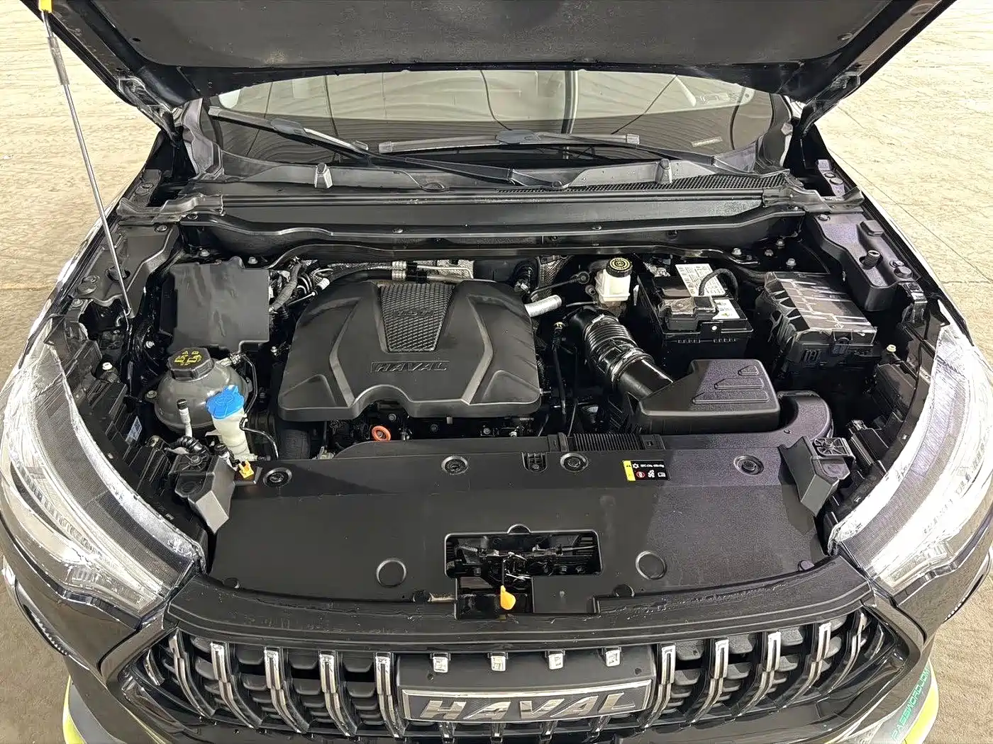 Haval Chitu 2022 2022 Power Edition 1.5T Purple Copper Rabbit