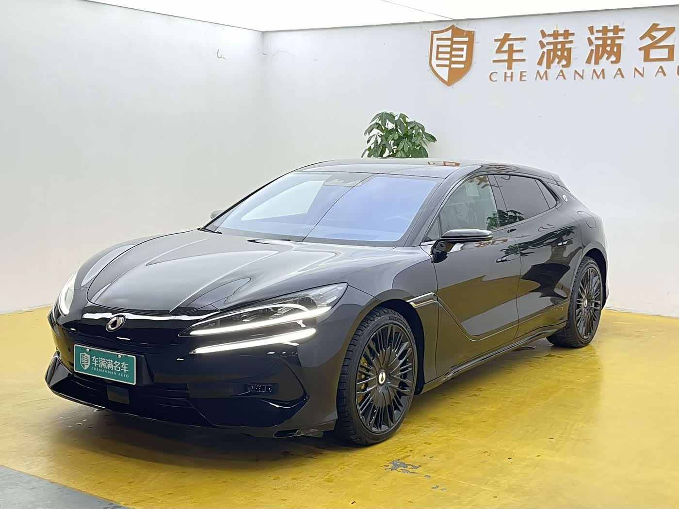 Denza Z9GT