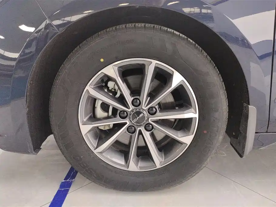 BYD Destroyer 05 2024 Glory Edition DM-i 55KM Luxury фото 5