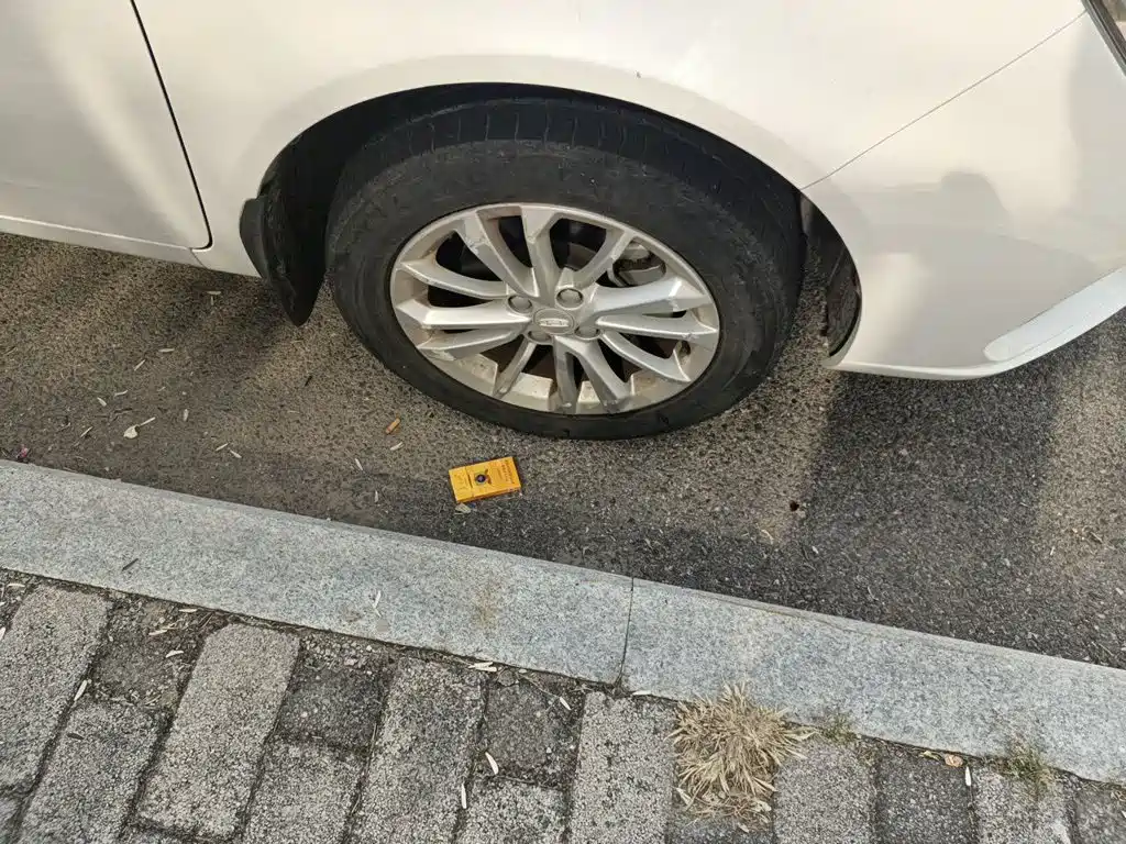 Фото 8 - Geely Vision