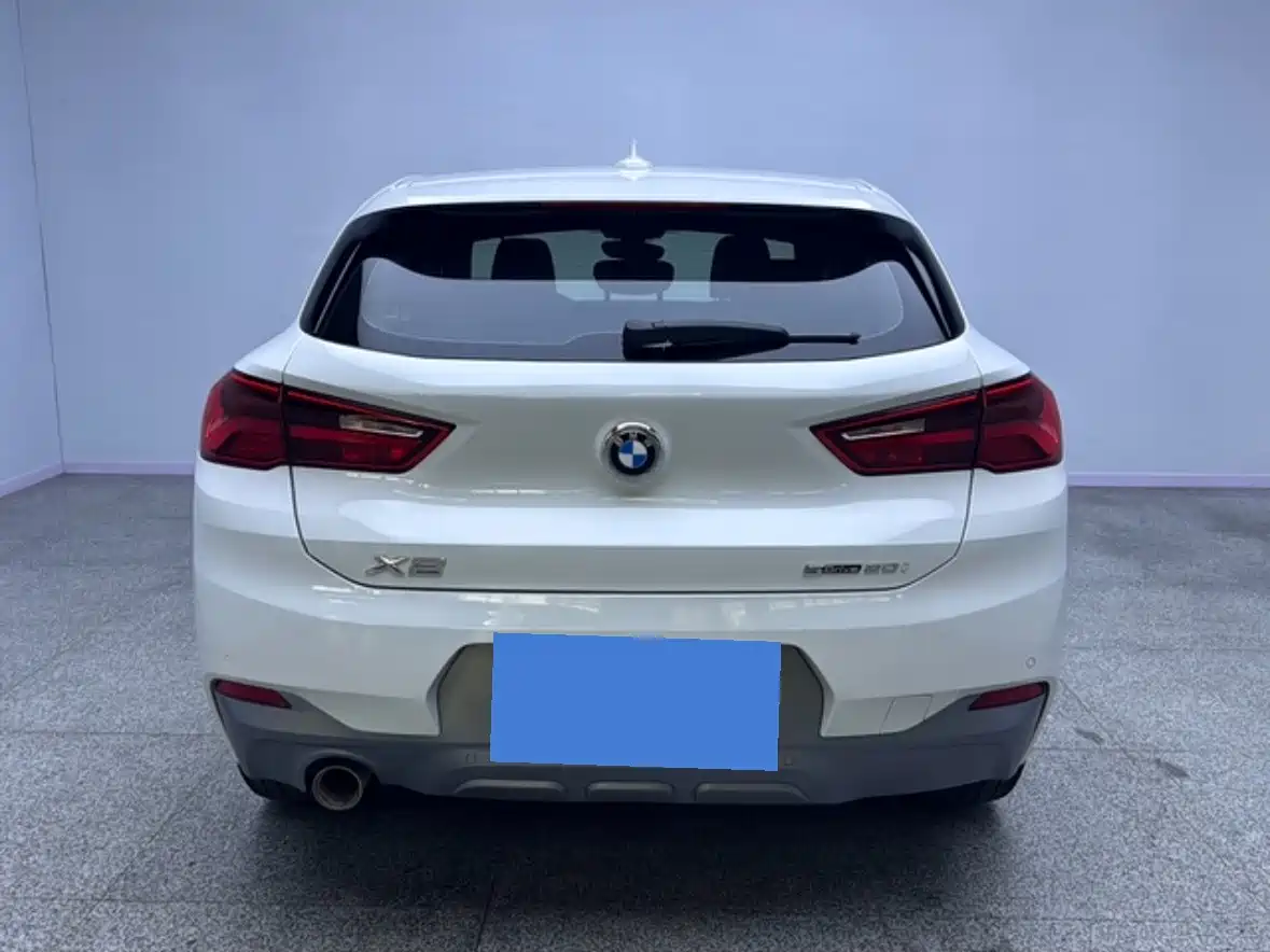 BMW X2 (Import) 2019 2019 sDrive20i M Off-Road Package China VI