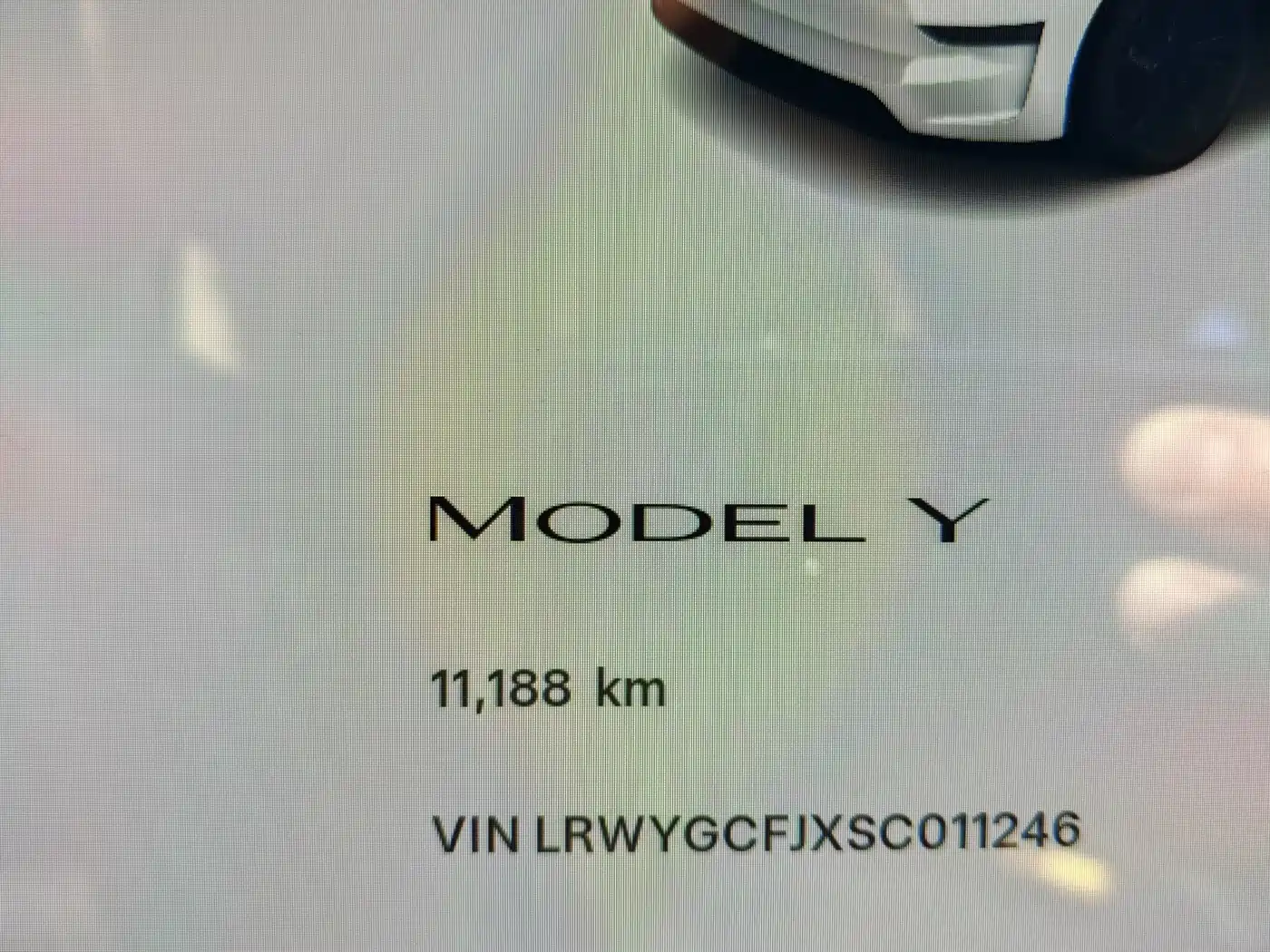 TESLA MODEL Y