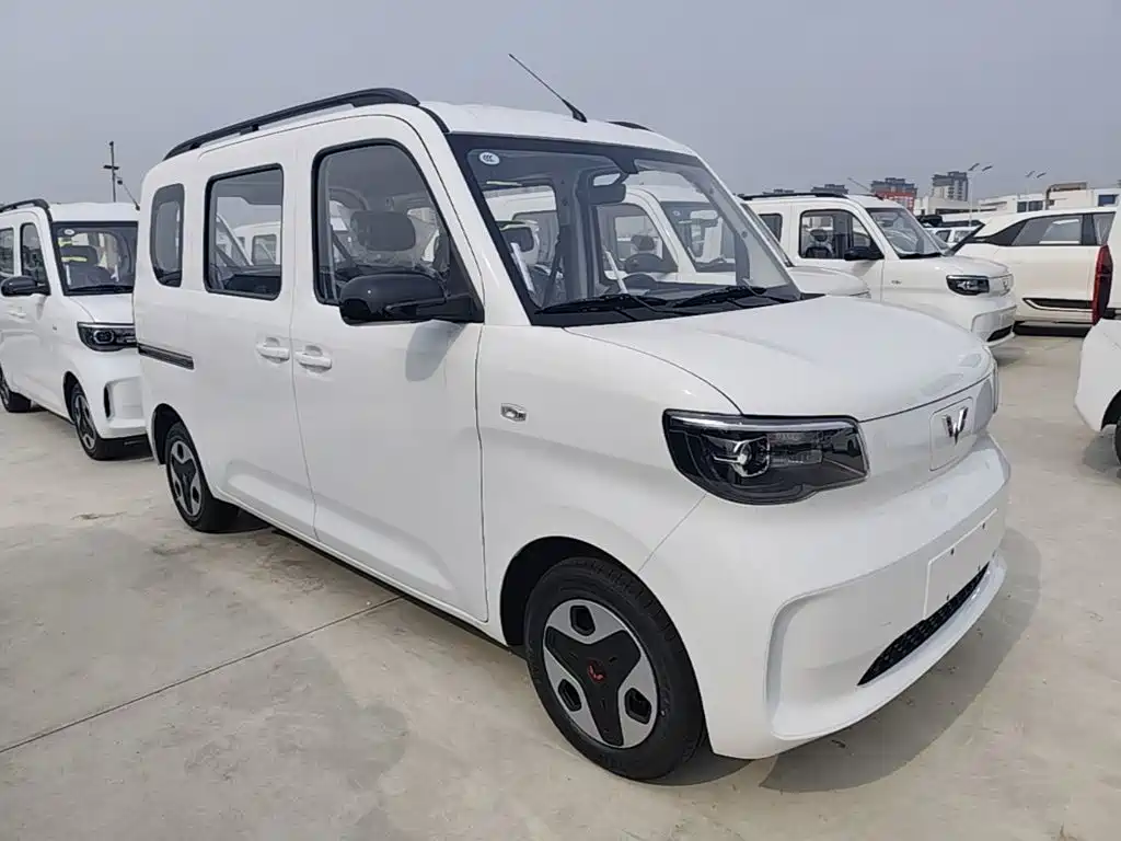 Wuling Motors Wuling Zhiguang NEV 2026 2025 Model 305km Base Version
