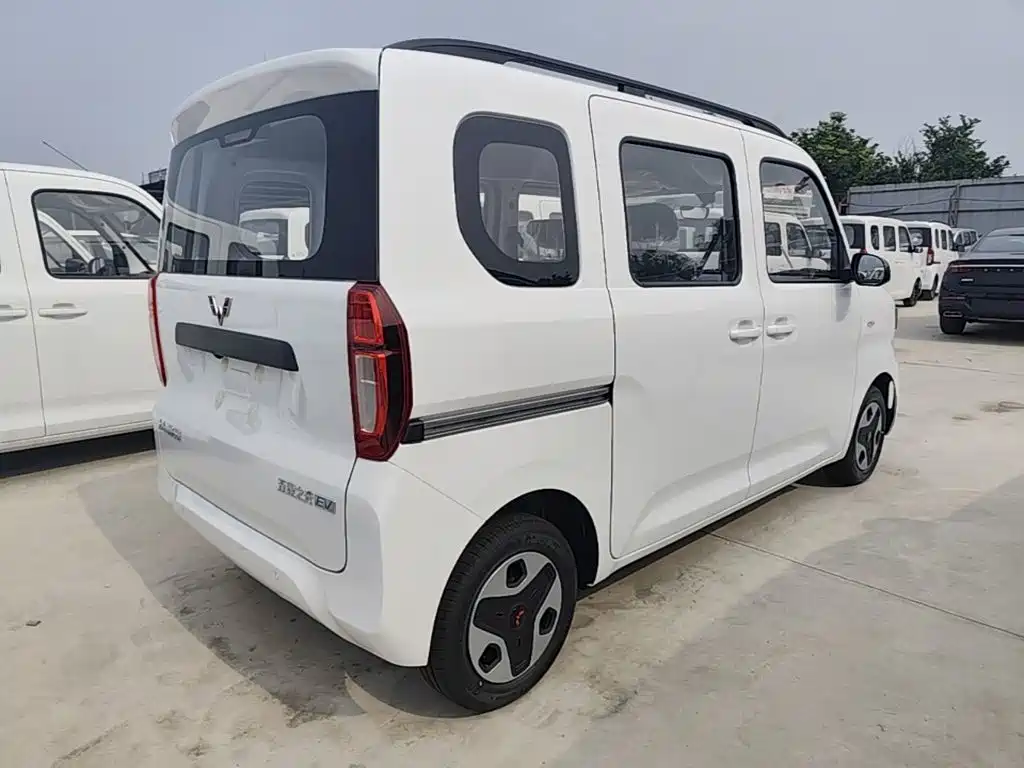 Wuling Motors Wuling Zhiguang NEV 2026 2025 Model 305km Base Version