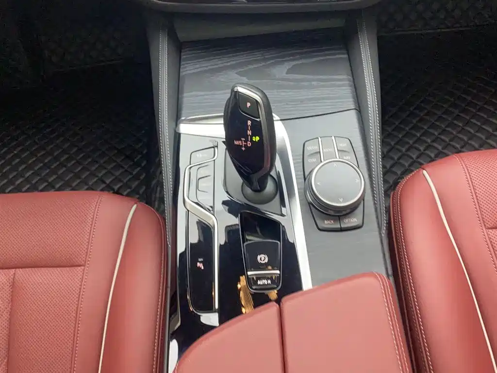 BMW 5 Series 2023 530Li Leading M Sport Package фото 20
