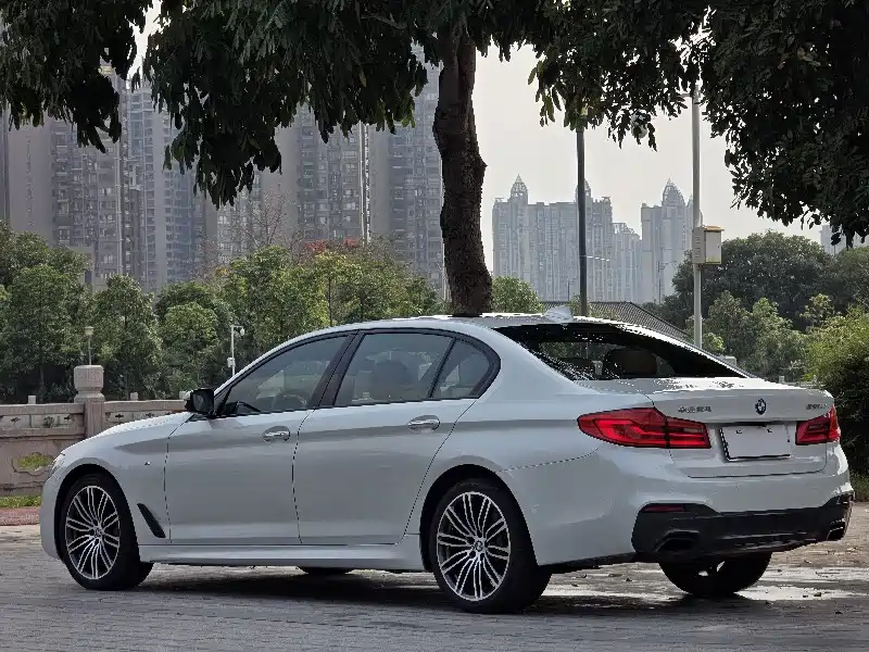 BMW 5 Series 2018 530Li Premium M Sport Package фото 9