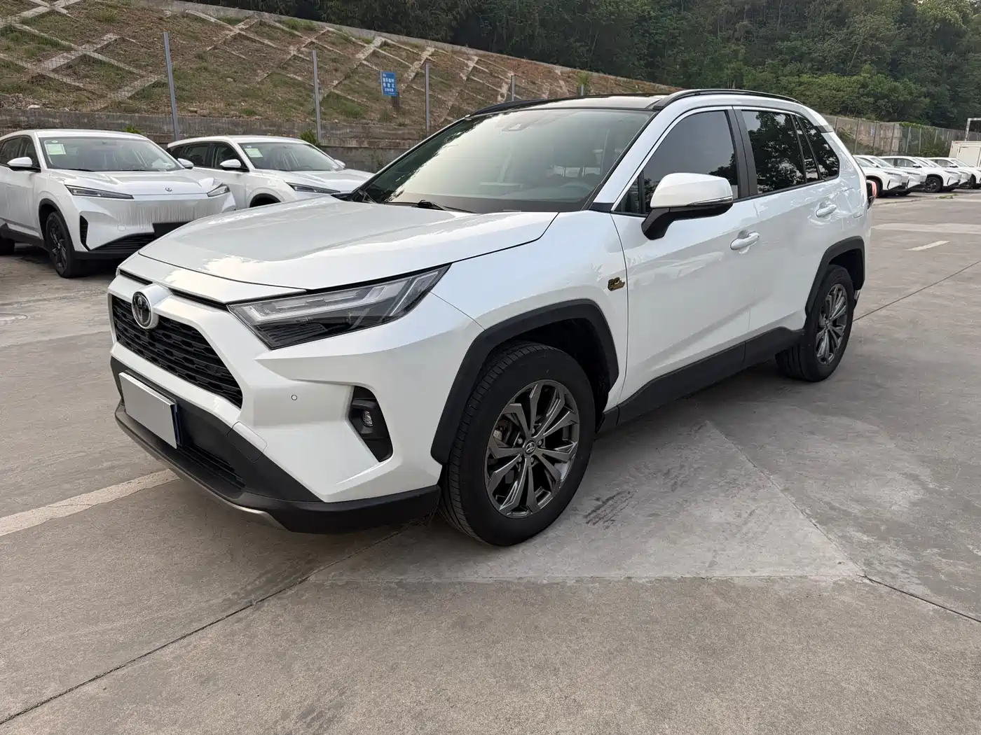 Toyota RAV4 Rongfang 2023 2.0L CVT 2WD 20th Anniversary Platinum Edition