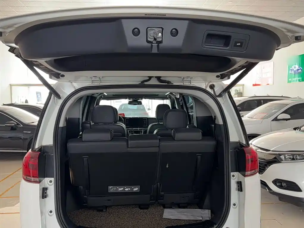 GAC Trumpchi Trumpchi M8 2021 Leading Show Series 390T Ultimate Edition фото 15