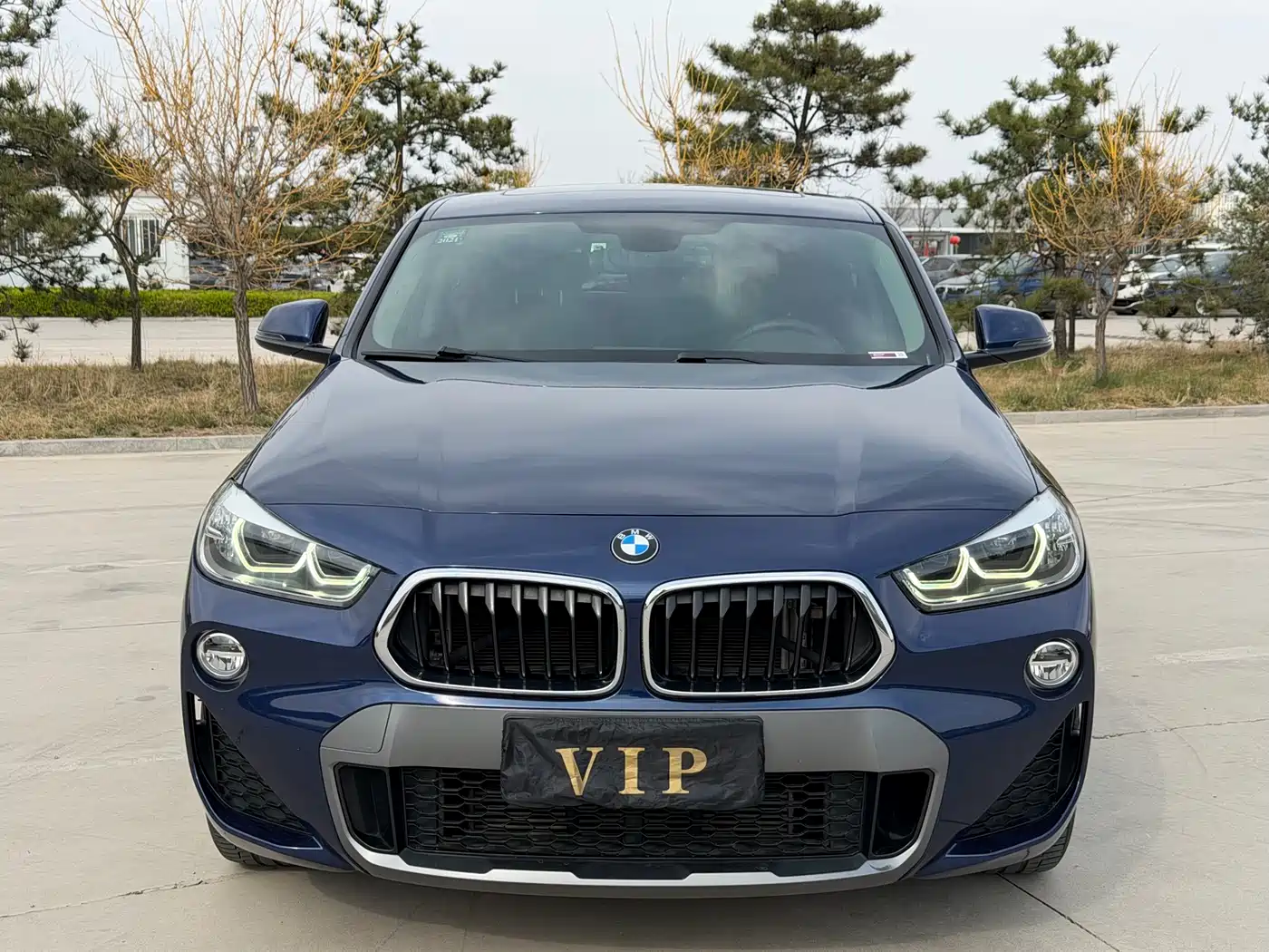 BMW X2 (Import) 2019 sDrive20i M Off-Road Package China VI фото 2
