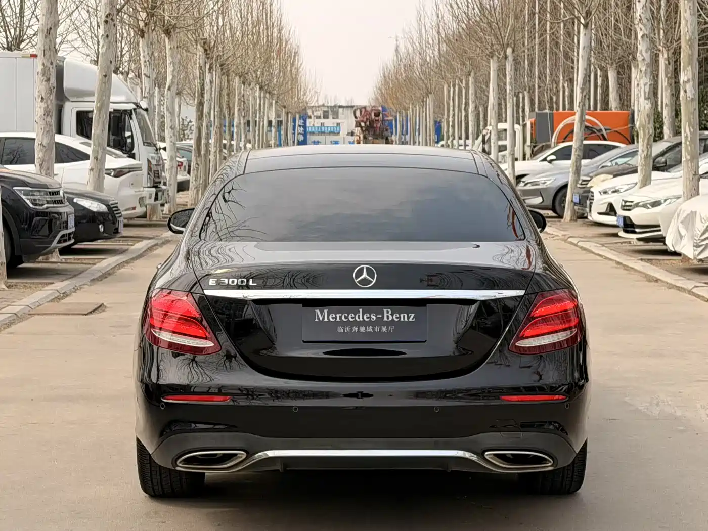 Mercedes-Benz E-Class 2019 E 300 L Sport Luxury фото 5