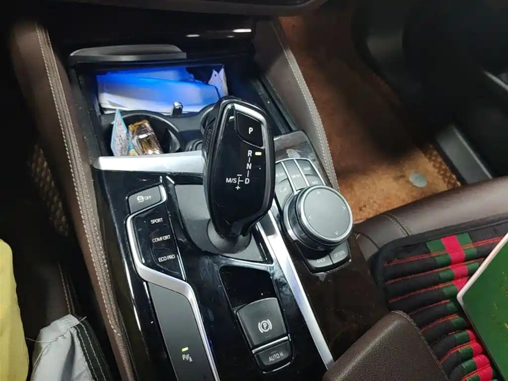 BMW 5 Series 2019 525Li Luxury Package фото 13
